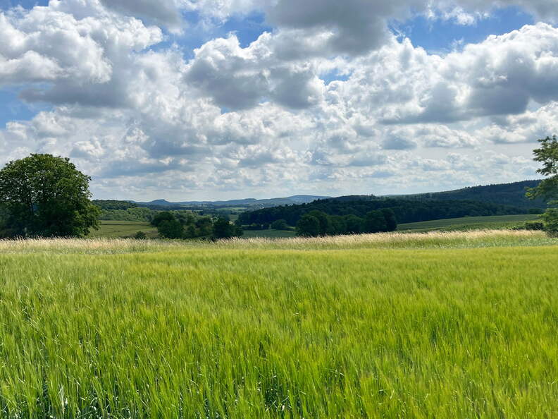 22-06-06 11-20-38 1053